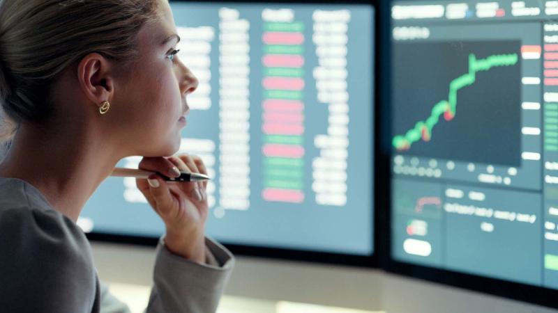Finance and investment analysts and advisers