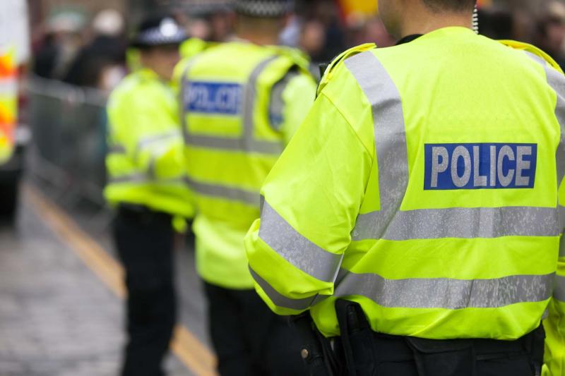 Police officers (sergeant and below)