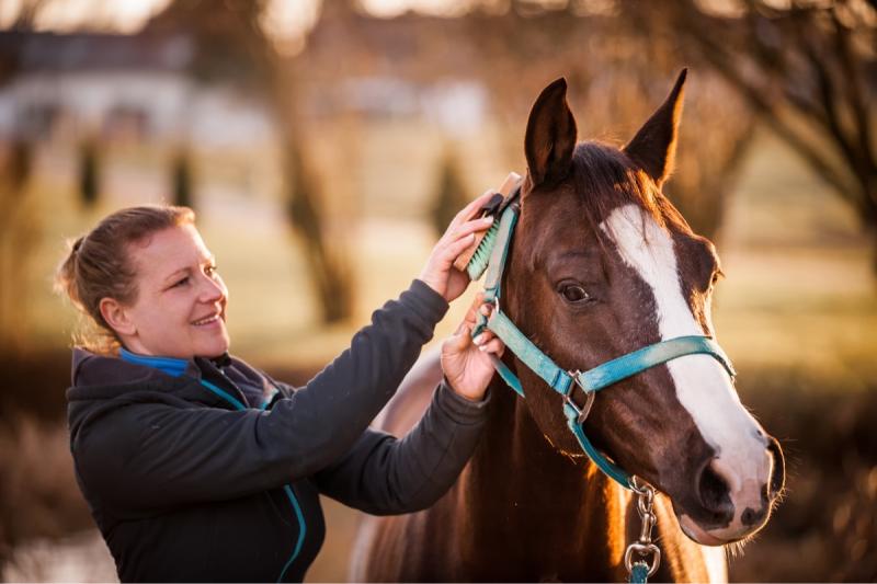 Animal care services occupations