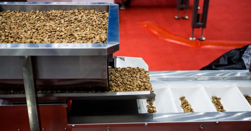 Weighers, graders and sorters