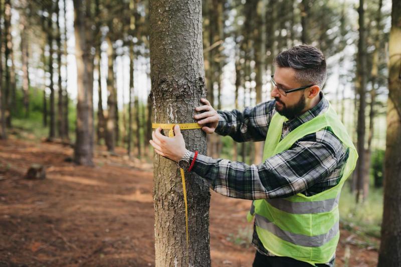 Forestry and related workers