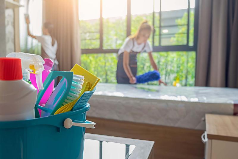 Cleaners and domestics
