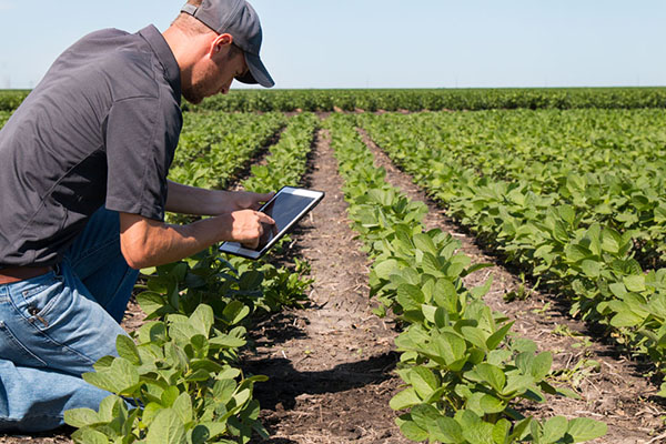 Agronomist