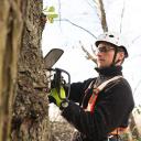 Arboricultural officer