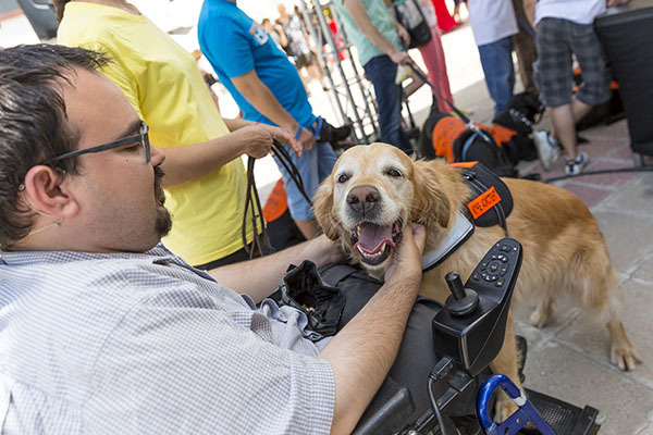 Assistance dog trainer