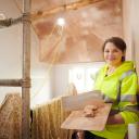 Plasterer