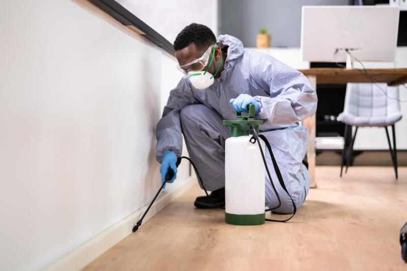 Pest control officers