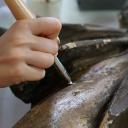 Conservator