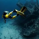 Diver