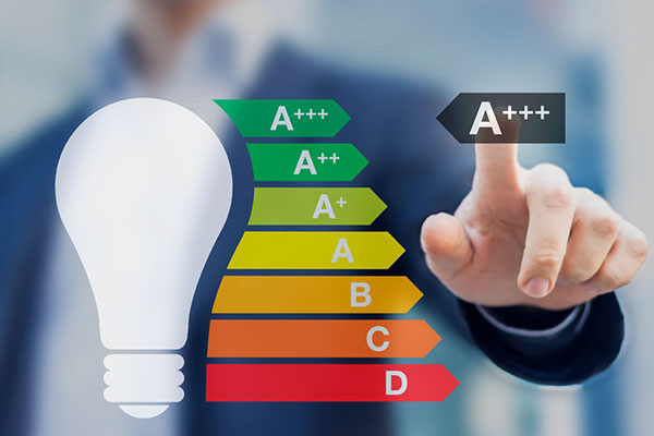 Domestic energy assessor