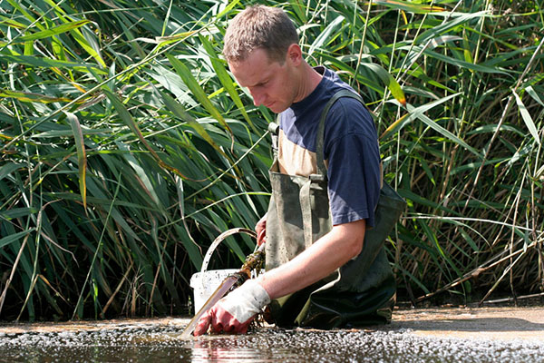 Ecologist