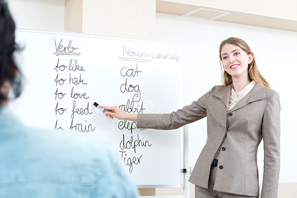 English as a foreign language (EFL) teacher