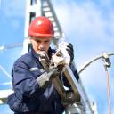 Electricity distribution worker