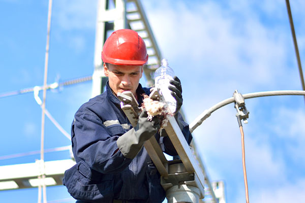 Electricity distribution worker