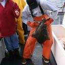 Fishing boat deckhand