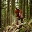 Forestry worker