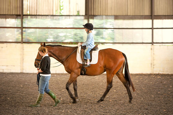 Horse riding instructor