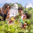 Horticultural therapist