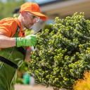 Horticultural worker