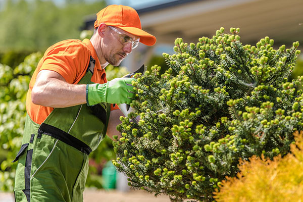 Horticultural worker