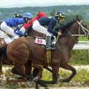 Jockey