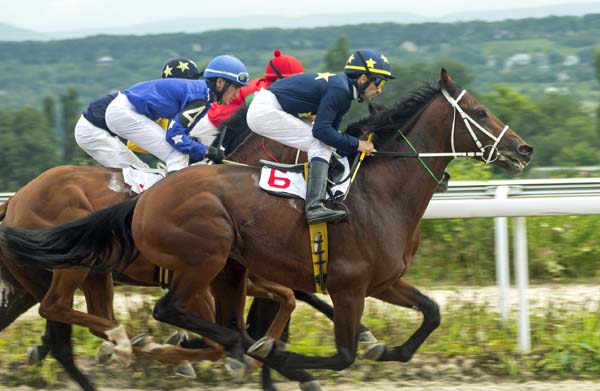 Jockey