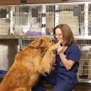 Kennel worker
