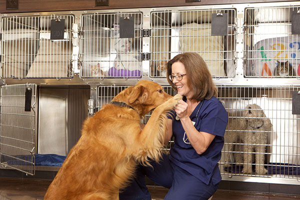 Kennel worker