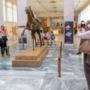 Museum attendant