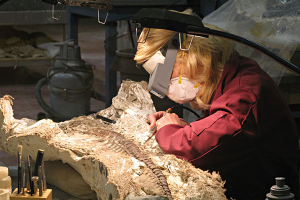 Palaeontologist