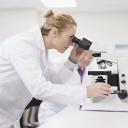 Pathologist