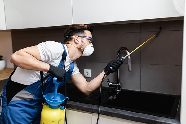 Pest control technician