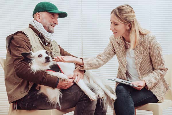 Pet behaviour consultant
