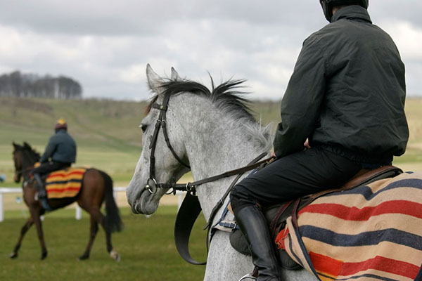 Racehorse trainer