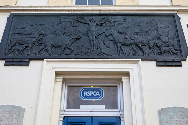 RSPCA inspector
