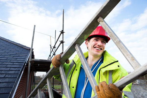 Scaffolder