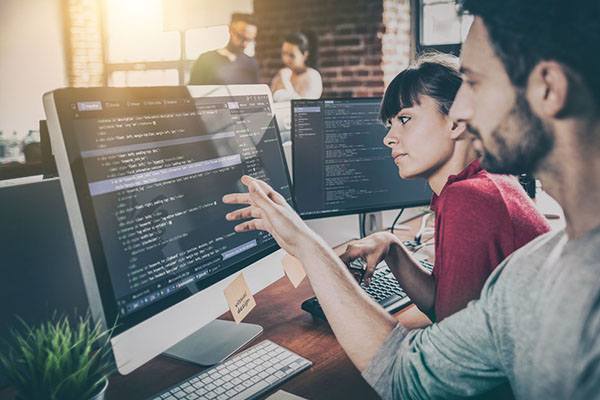 Software developer
