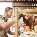 Taxidermist