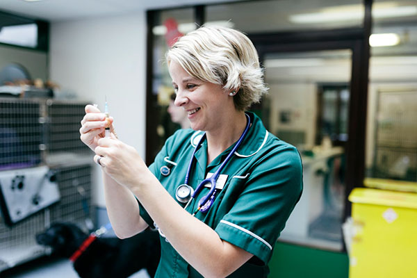 Veterinary nurse