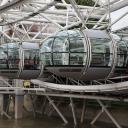 Visitor attraction general manager