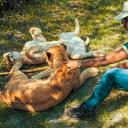 Zoologist