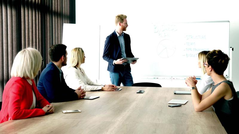 Directors in consultancy services