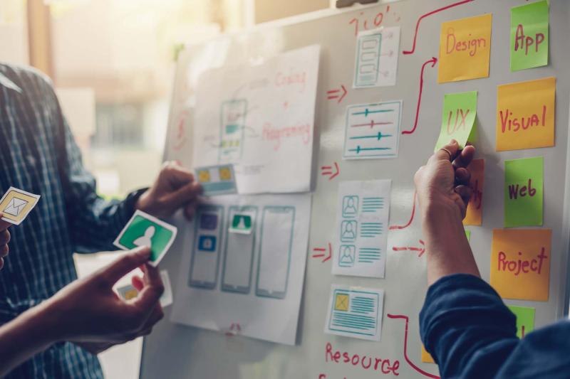 Web design professionals
