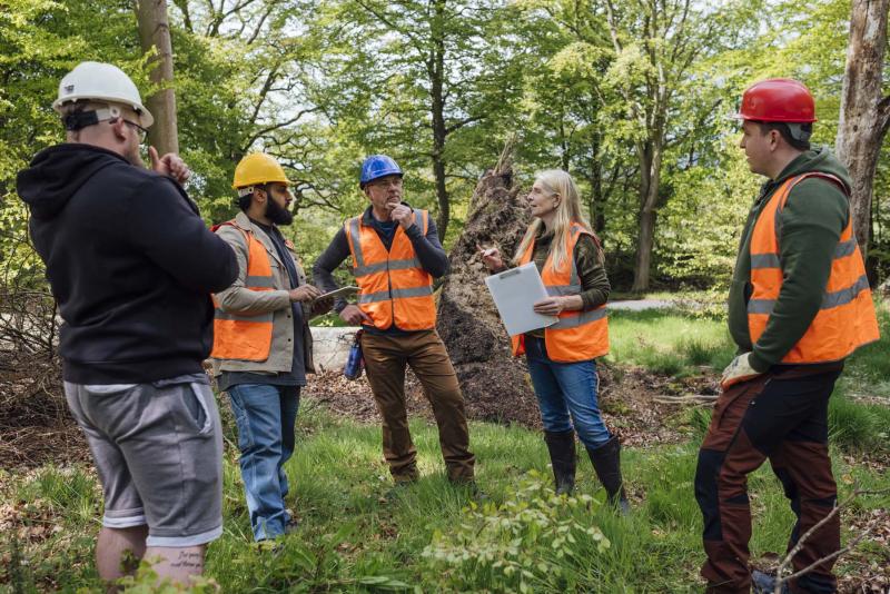 Conservation professionals