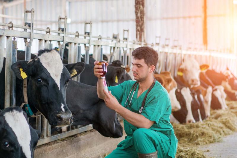 Veterinarians