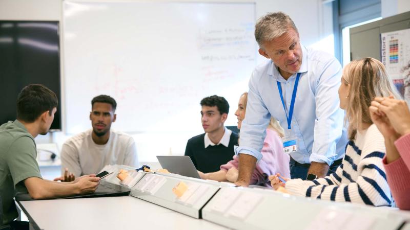 Higher education teaching professionals